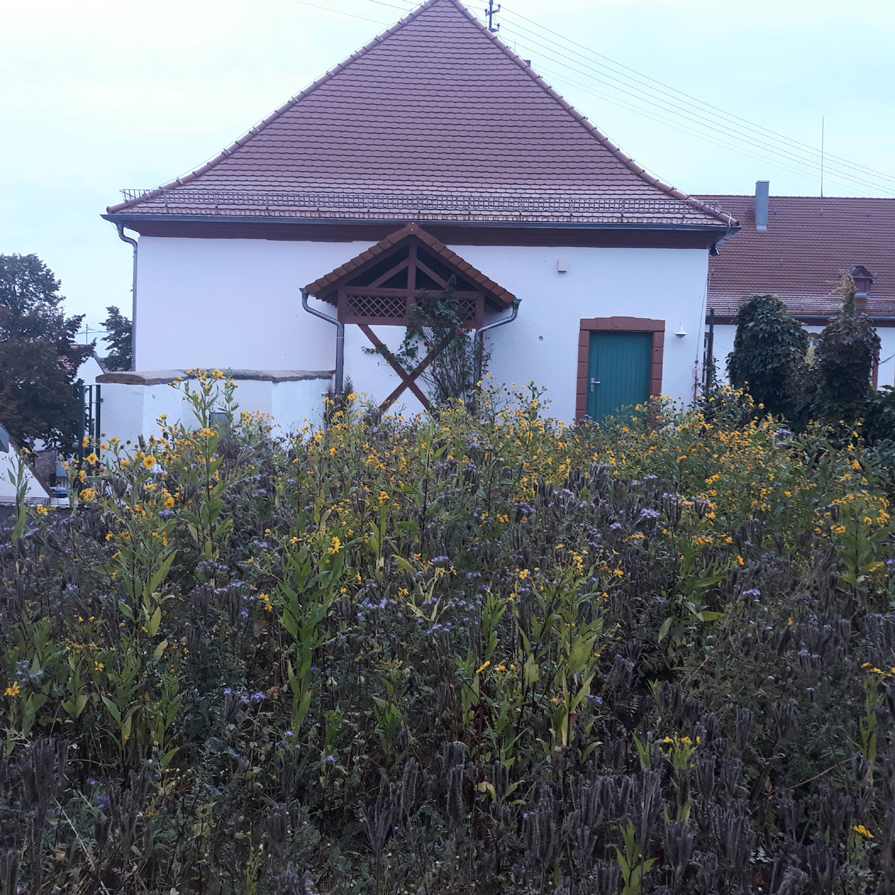 Johannes Mehring Ortsgemeinde MiniSite